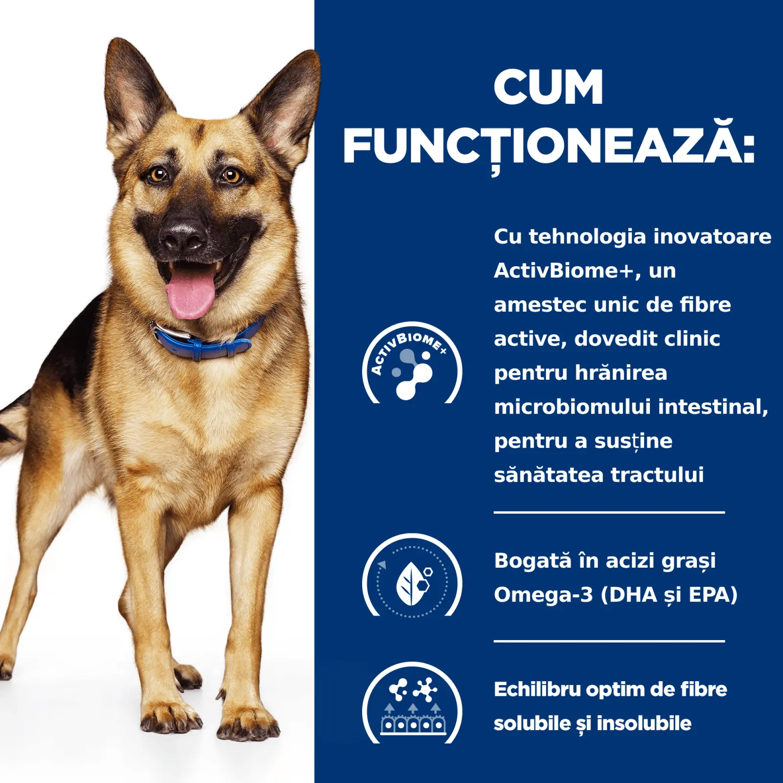 HILL'S Prescription Diet Gastrointestinal Biome, Pui, dieta veterinara caini, hrana uscata, afectiuni digestive HILL'S Prescription Diet Gastrointestinal Biome, Pui, dieta veterinara caini, hrana uscata, sistem digestiv, 10kg - Image 4