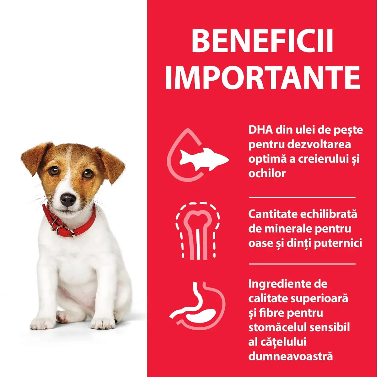 HILL'S Science Plan Puppy XS-S, Pui, hrana uscata caini junior, 6kg - Image 5