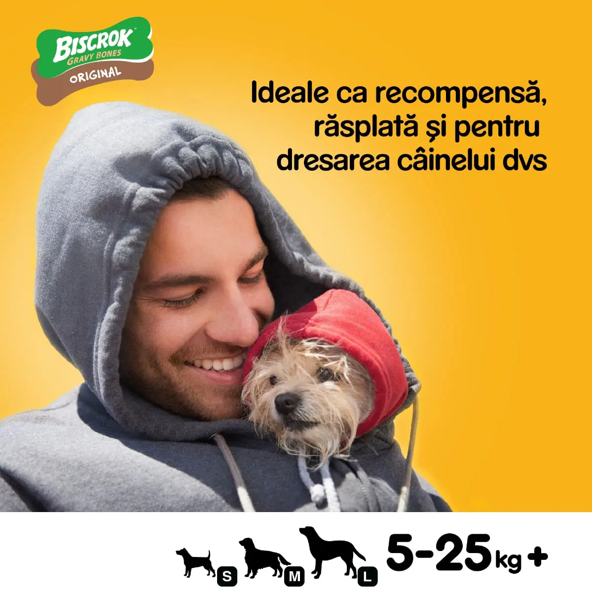 PEDIGREE Biscrok Gravy Bones, recompense caini, biscuiti, 400g - Image 9