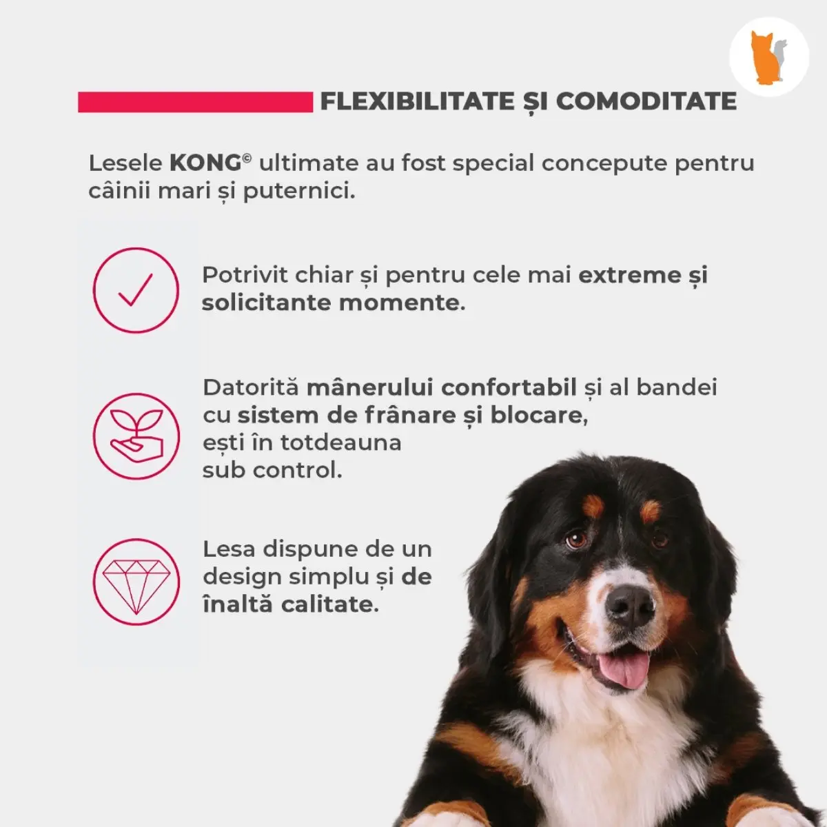 Lesa Retractabila Kong Terrain M, 5m-30 Kg, Albastru - Image 3