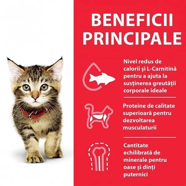 HILL'S Science Plan Kitten, Ton, hrana uscata pisici junior Hill's SP Feline Kitten Ton, 1.5 Kg - Image 4