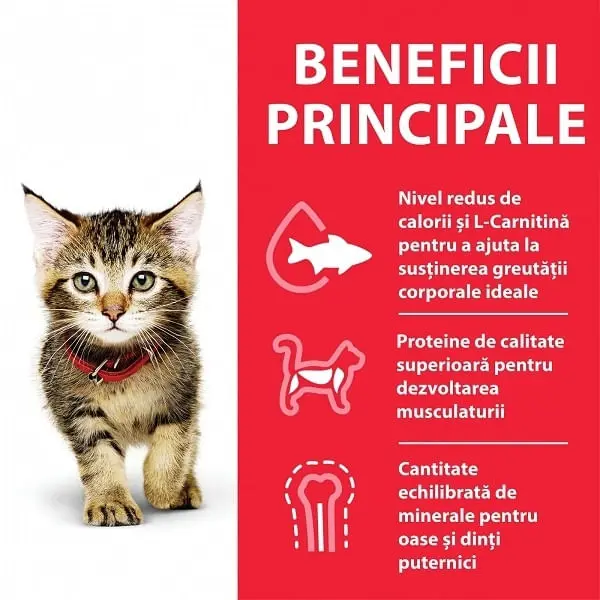 HILL'S Science Plan Kitten, Ton, hrana uscata pisici junior Hill's SP Feline Kitten Ton, 300 g - Image 4