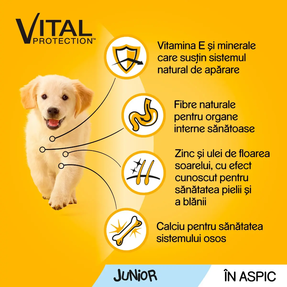 PEDIGREE Vital Protection Junior Multipack, 4 arome, pachet mixt, plic hrana umeda caini junior, (in aspic), 100g x 12 - Image 5