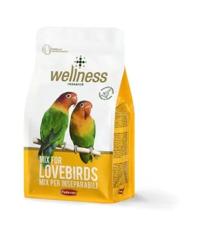 Hrana pentru Pasari, Wellness Agapornis, 850 g - Image 2