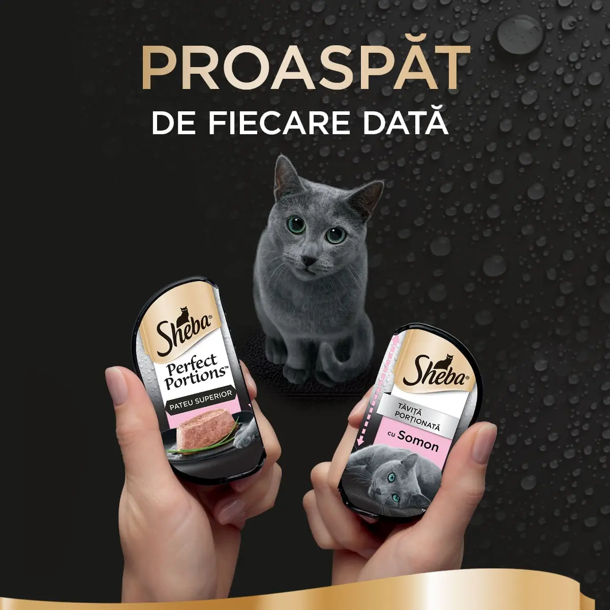 SHEBA Perfect Portions, Somon, tavita hrana umeda pisici, (pate), multipack, 37.5g x 6buc - Image 2