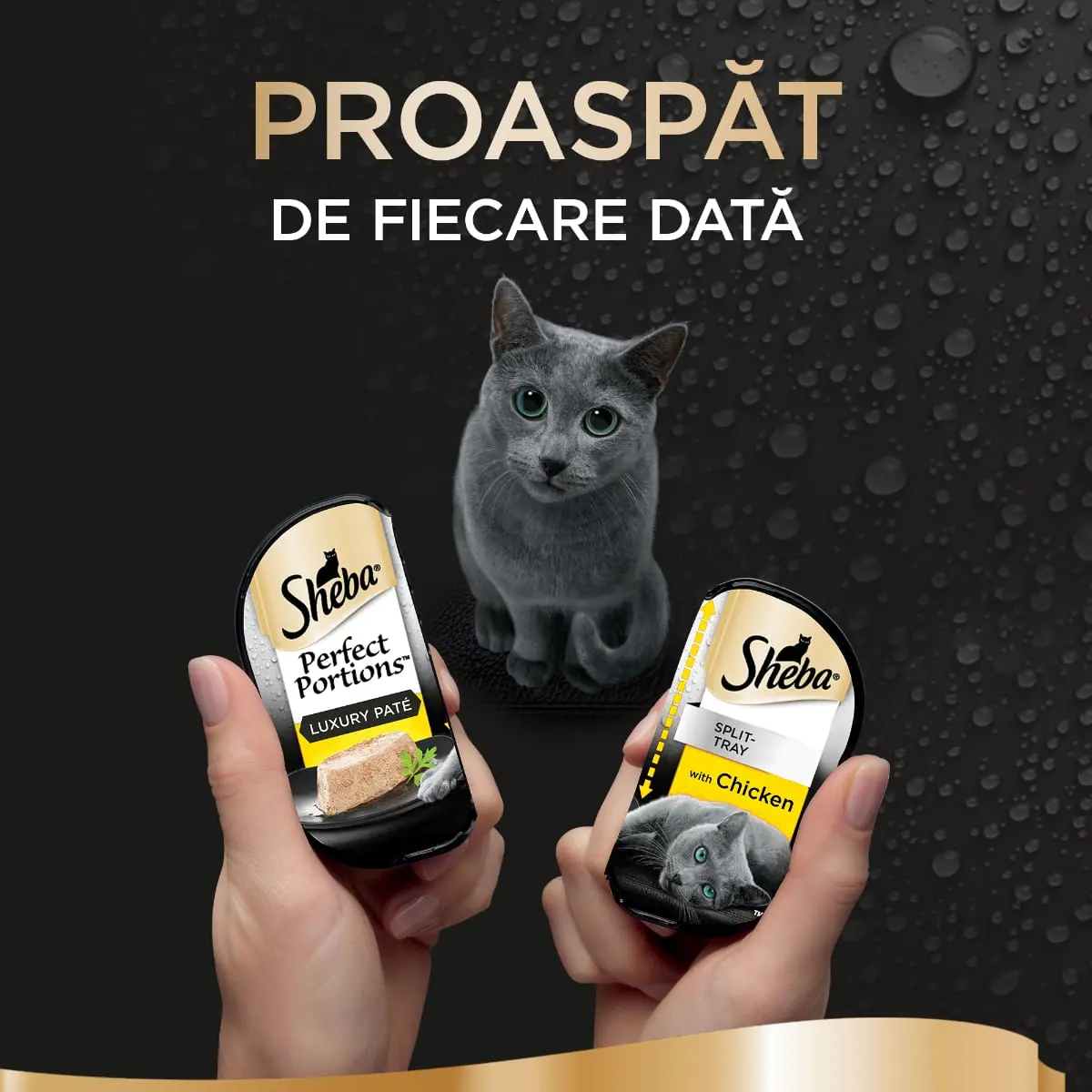 SHEBA Perfect Portions, Pui, tavita hrana umeda pisici, (pate), multipack, 37.5g x 6buc - Image 6