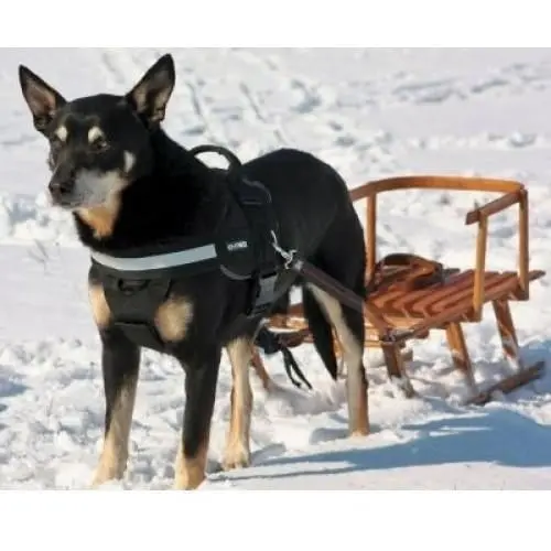 JULIUS-K9 IDC Power, ham tractiune caini, M, 14-25kg, negru - Image 3
