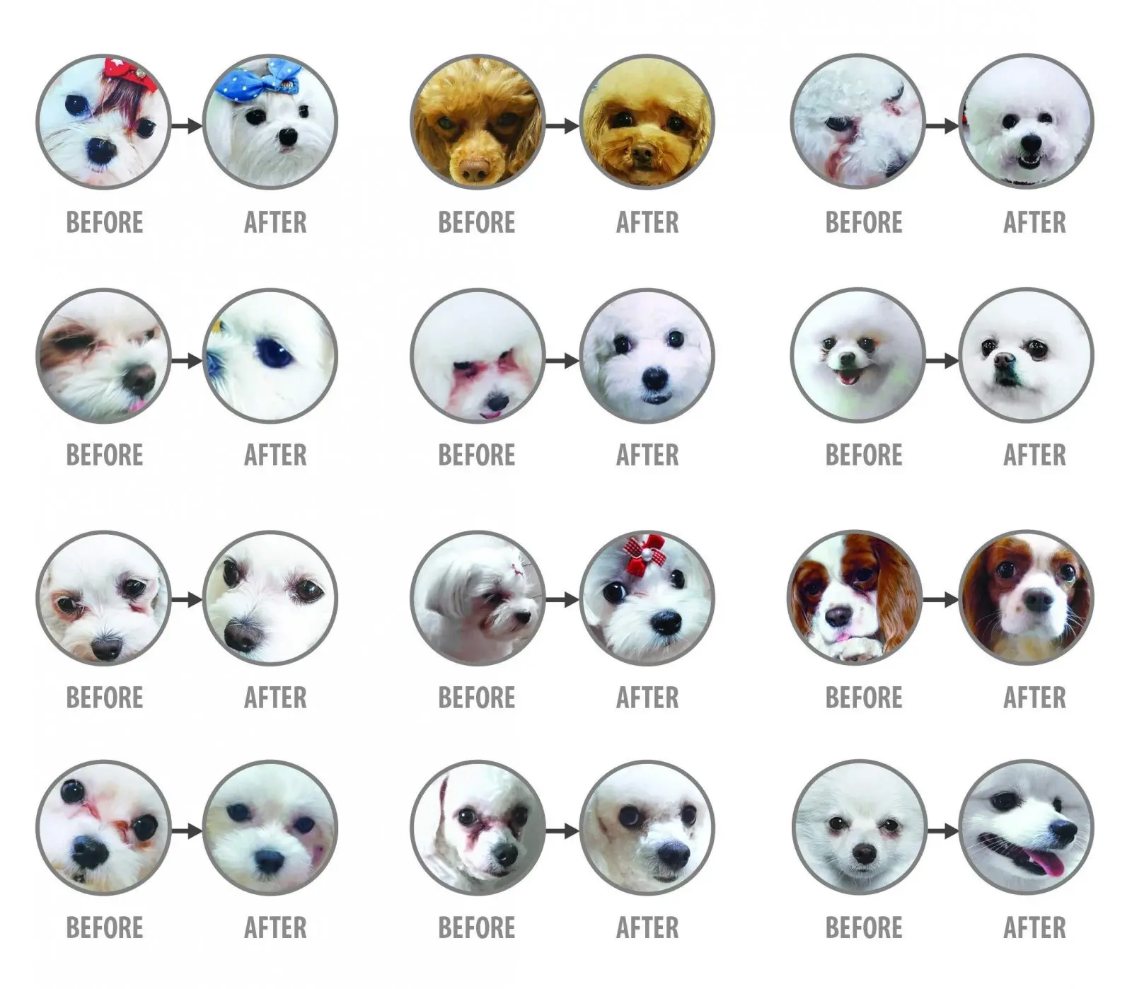 NATURES PROTECTION Superior Care White Dogs Junior Small&Mini, Peste Alb, hrana uscata fara cereale caini juniori, reducerea petelor la cainii albi NATURES PROTECTION Superior Care White Dogs Junior XS - S, Peste Alb, hrana uscata fara cereale caini juni - Image 3