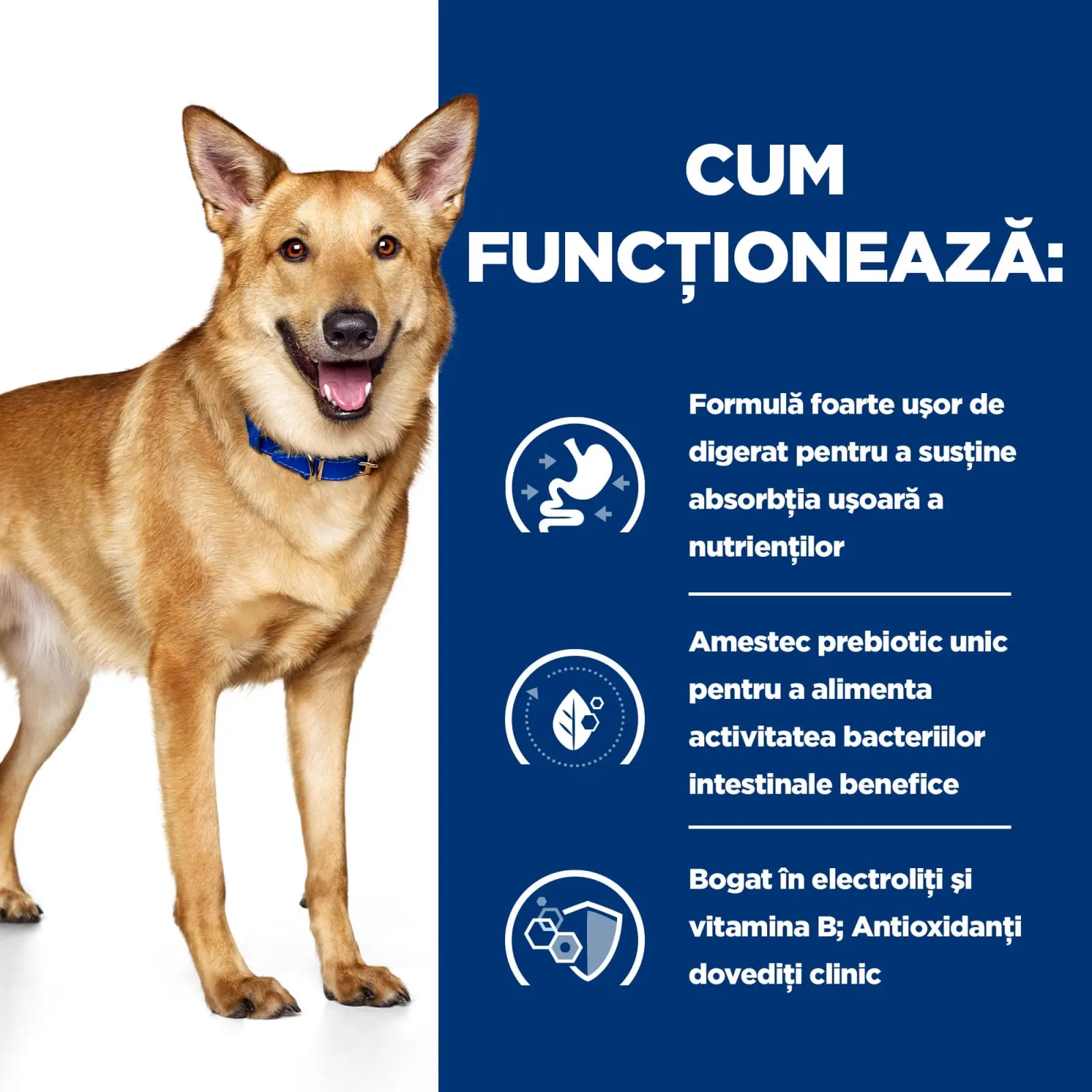 HILL'S Prescription Diet i/d Digestive Care, Pui cu Legume, dieta veterinara caini, conserva hrana umeda, sensibilitati digestive HILL'S Prescription Diet i/d Digestive Care, Pui cu Legume, dieta veterinara caini, conserva hrana umeda, sistem digestiv, ( - Image 4