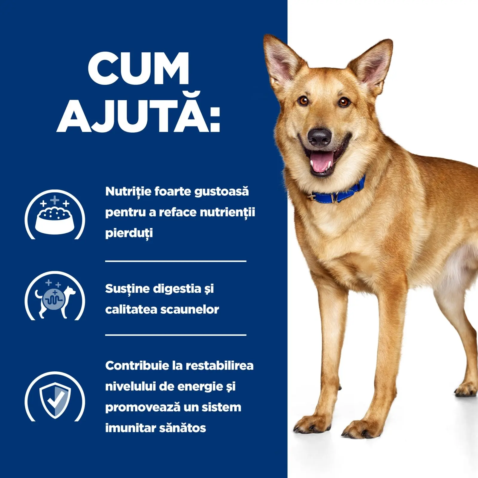 HILL'S Prescription Diet i/d Digestive Care, Pui cu Legume, dieta veterinara caini, conserva hrana umeda, sensibilitati digestive HILL'S Prescription Diet i/d Digestive Care, Pui cu Legume, dieta veterinara caini, conserva hrana umeda, sistem digestiv, ( - Image 7