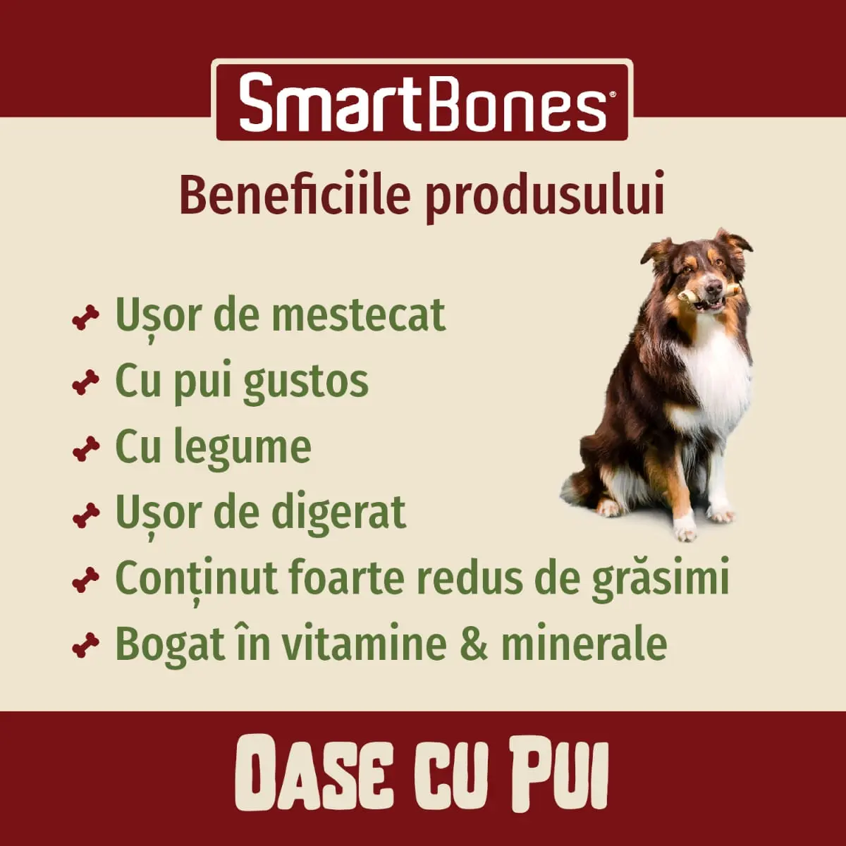 SMARTBONES Classics Chicken Bone Large, recompense caini, Os aromat Pui - Image 9