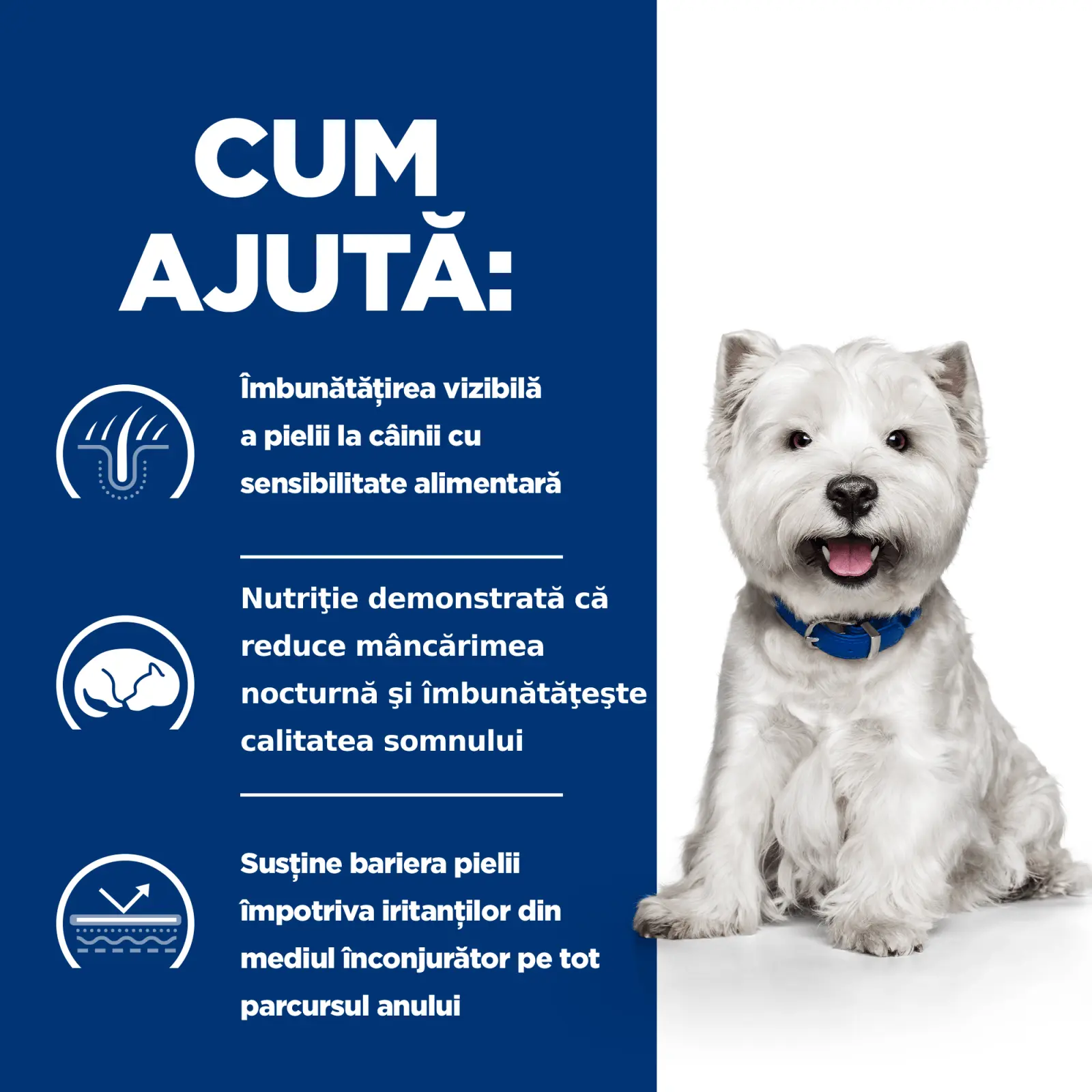 HILL'S Prescription Diet Derm Complete Mini, dieta veterinara caini, hrana uscata, afectiuni dermatologice HILL'S Prescription Diet Derm Complete Mini, dieta veterinara caini, hrana uscata, piele & blana, 6kg - Image 14