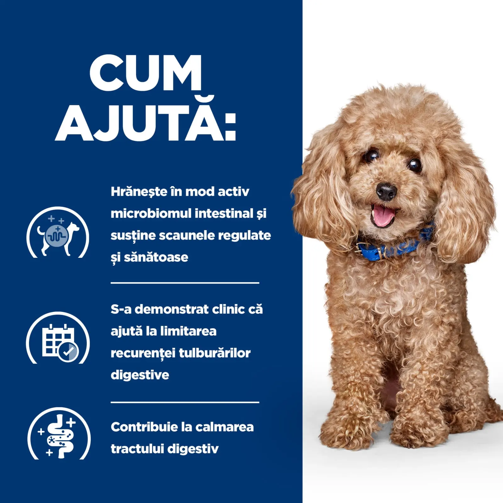 HILL'S Prescription Diet Gastrointestinal Biome Mini, Pui, dieta veterinara caini, hrana uscata, afectiuni digestive HILL'S Prescription Diet Gastrointestinal Biome Mini, Pui, dieta veterinara caini, hrana uscata, sistem digestiv, 3kg - Image 6