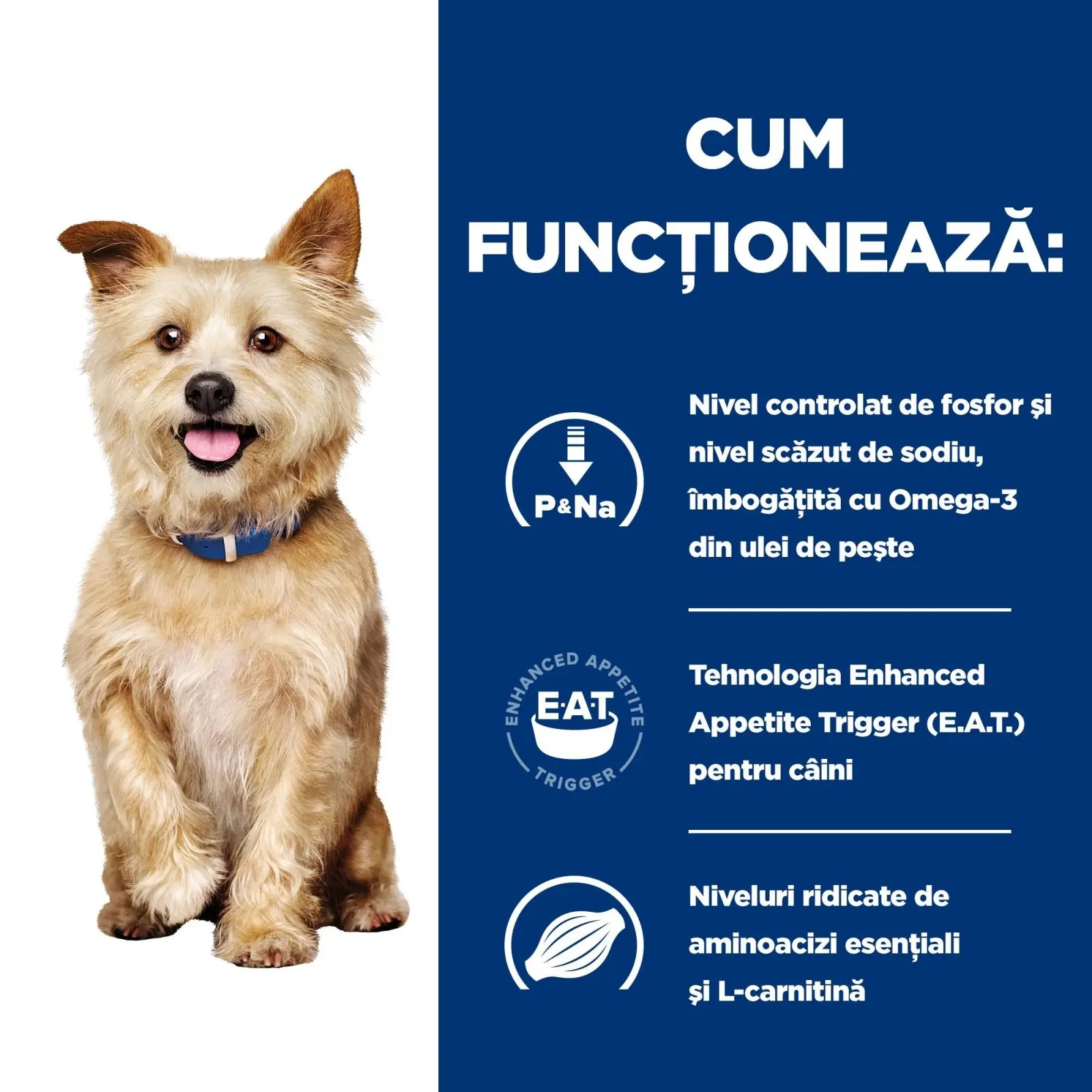 HILL'S Prescription Diet k/d Kidney Care, Pui cu Legume, dieta veterinara caini, conserva hrana umeda, afectiuni renale HILL'S Prescription Diet k/d Kidney Care, Pui cu Legume, dieta veterinara caini, conserva hrana umeda, sistem renal, (in sos), 354g - Image 3