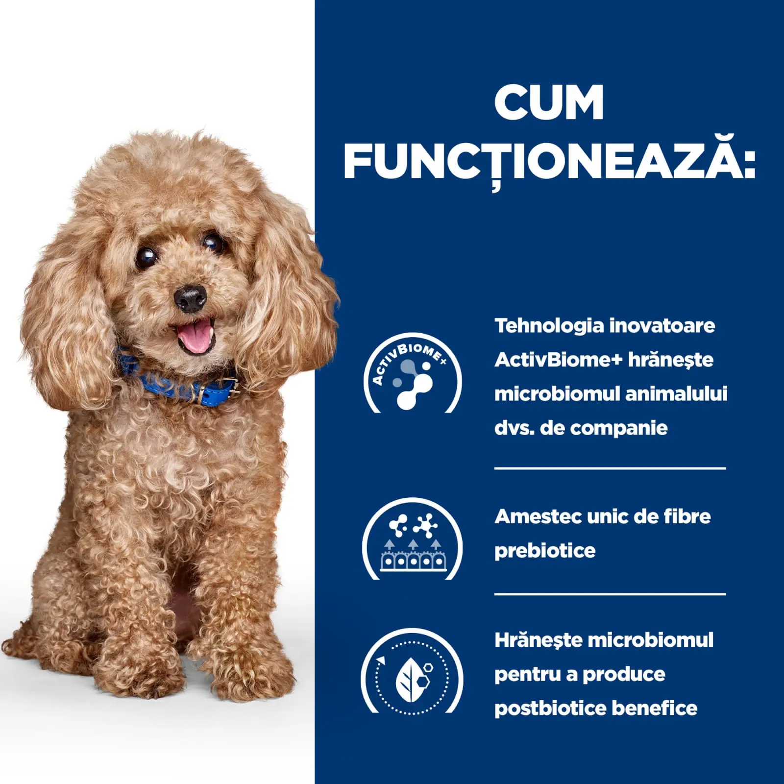 HILL'S Prescription Diet Gastrointestinal Biome Mini, Pui, dieta veterinara caini, hrana uscata, afectiuni digestive HILL'S Prescription Diet Gastrointestinal Biome Mini, Pui, dieta veterinara caini, hrana uscata, sistem digestiv, 3kg - Image 7