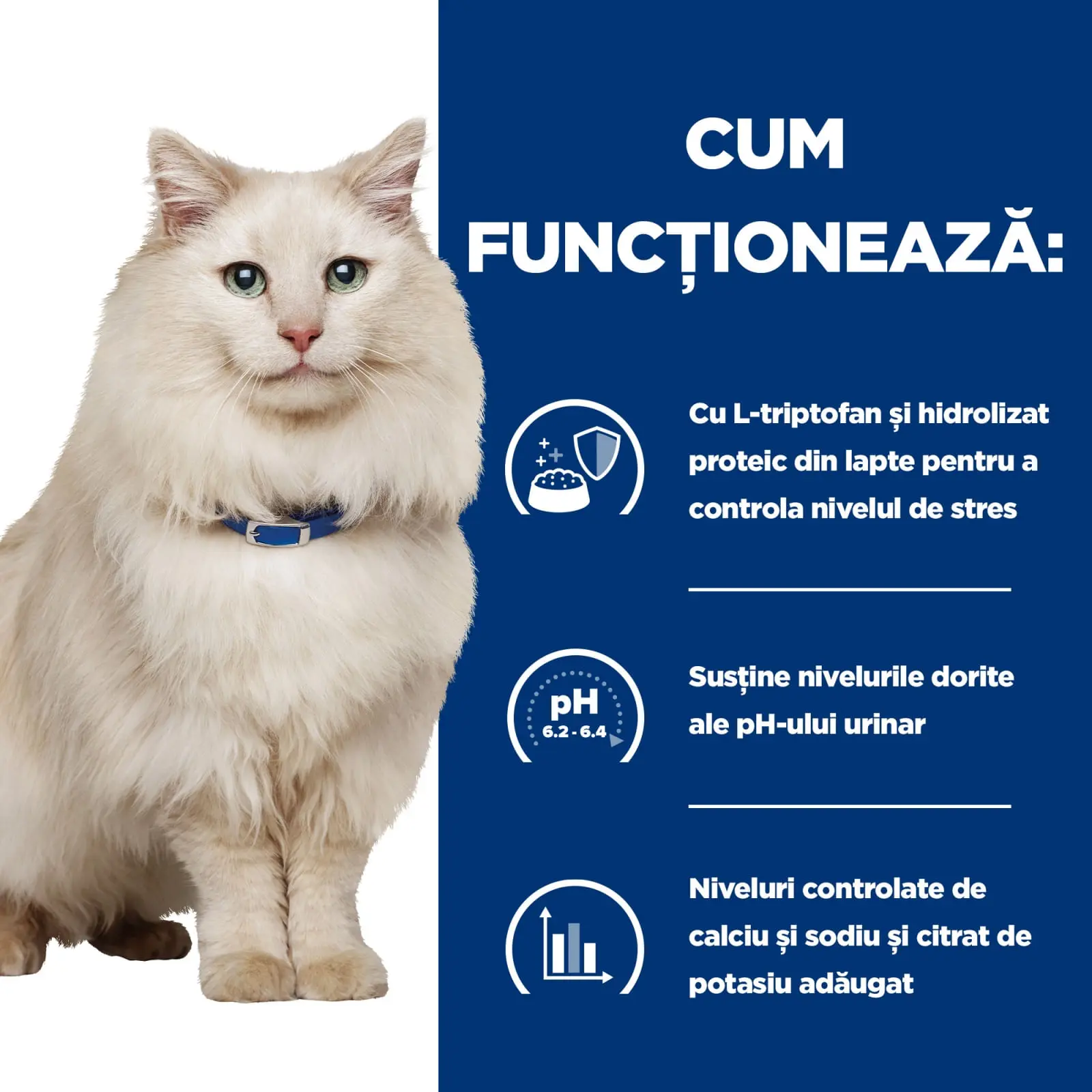 HILL'S Prescription Diet c/d Urinary Multicare Stress, Pui, dieta veterinara pisici, hrana uscata, afectiuni urinare HILL'S Prescription Diet c/d Urinary Care Multicare Stress, Pui, dieta veterinara pisici, hrana uscata, sistem urinar, sistem nervos & ca - Image 7
