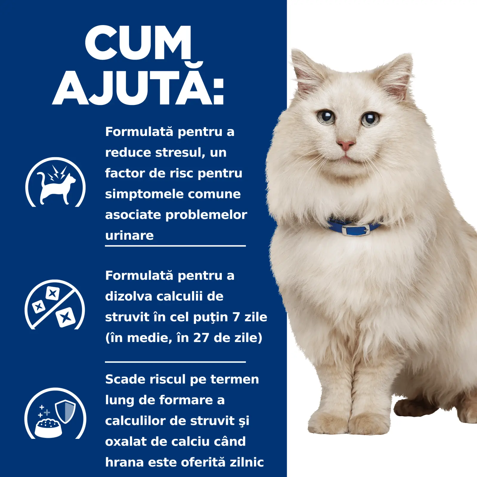 HILL'S Prescription Diet c/d Urinary Multicare Stress, Pui, dieta veterinara pisici, hrana uscata, afectiuni urinare HILL'S Prescription Diet c/d Urinary Care Multicare Stress, Pui, dieta veterinara pisici, hrana uscata, sistem urinar, sistem nervos & ca - Image 8