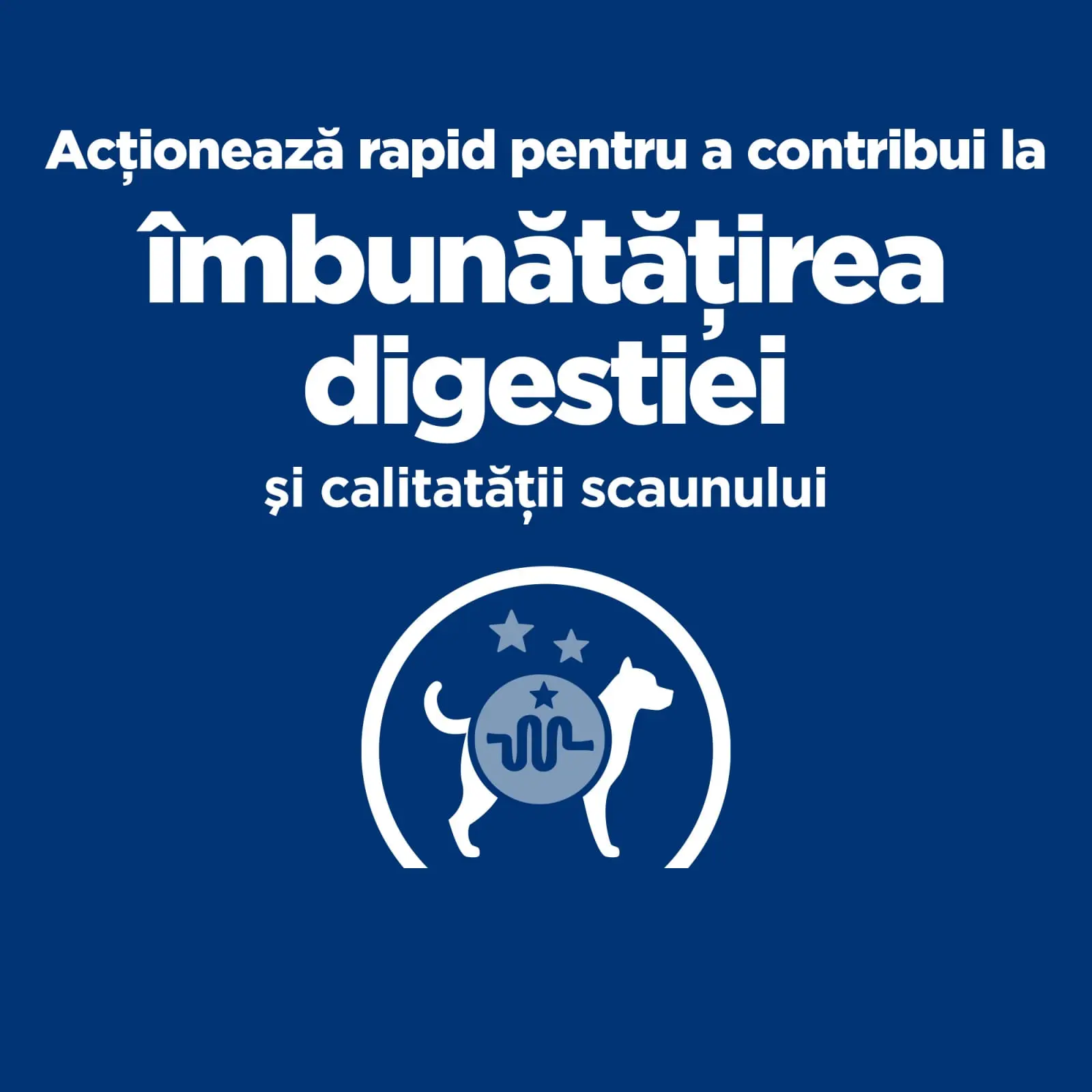 HILL'S Prescription Diet i/d Sensitive Digestive Care, Ou si Orez, dieta veterinara caini, hrana uscata, sensibilitati digestive HILL'S Prescription Diet i/d Sensitive Digestive Care, Ou si Orez, dieta veterinara caini, hrana uscata, sistem digestiv, 1.5 - Image 6