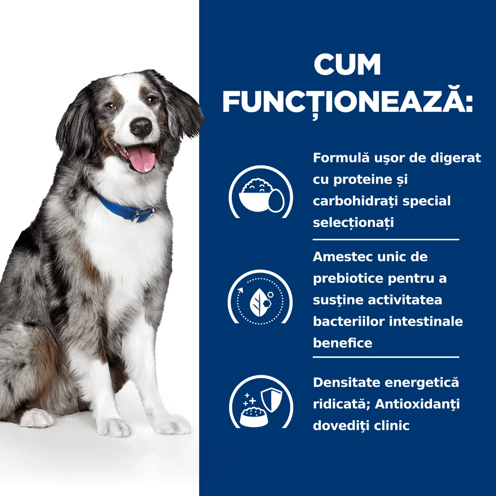 HILL'S Prescription Diet i/d Sensitive Digestive Care, Ou si Orez, dieta veterinara caini, hrana uscata, sensibilitati digestive HILL'S Prescription Diet i/d Sensitive Digestive Care, Ou si Orez, dieta veterinara caini, hrana uscata, sistem digestiv, 1.5 - Image 7