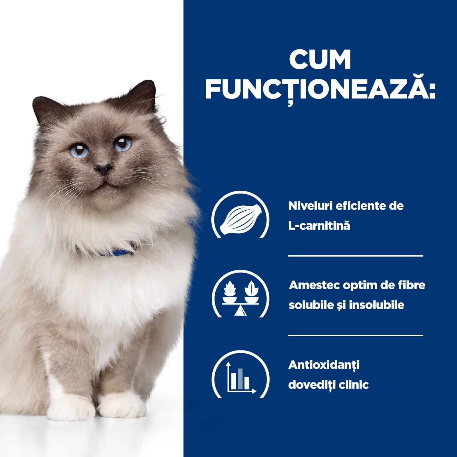 HILL'S Prescription Diet r/d Wheight Loss, Pui, dieta veterinara pisici, hrana uscata, scadere in greutate HILL'S Prescription Diet r/d Wheight Loss, Pui, dieta veterinara pisici, hrana uscata, metabolism (obezitate si diabet), 1.5kg - Image 5