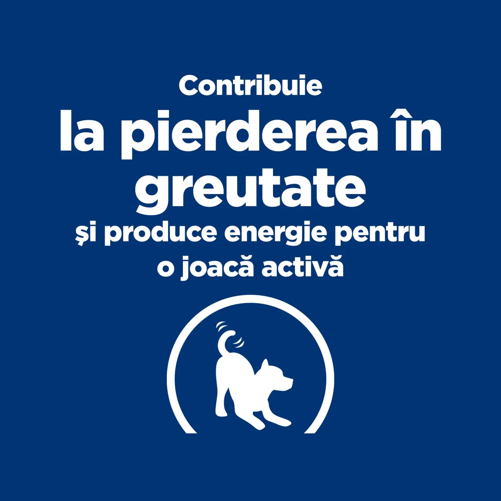 HILL'S Prescription Diet Metabolic + Weight Mini, dieta veterinara caini, hrana uscata, afectiuni metabolice (obezitate) HILL'S Prescription Diet Metabolic + Mobility Mini, dieta veterinara caini, hrana uscata, metabolism (obezitate si diabet), sistem ar - Image 2