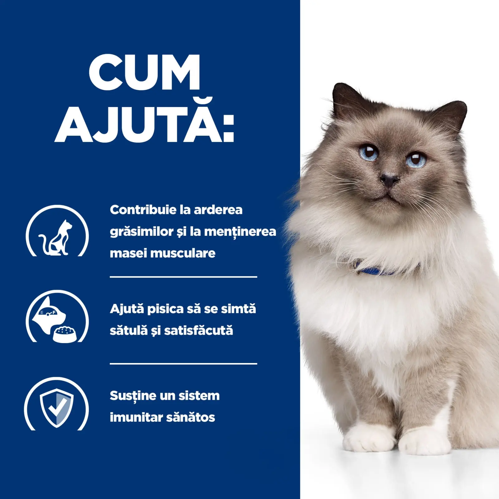HILL'S Prescription Diet r/d Wheight Loss, Pui, dieta veterinara pisici, hrana uscata, scadere in greutate HILL'S Prescription Diet r/d Wheight Loss, Pui, dieta veterinara pisici, hrana uscata, metabolism (obezitate si diabet), 1.5kg - Image 11