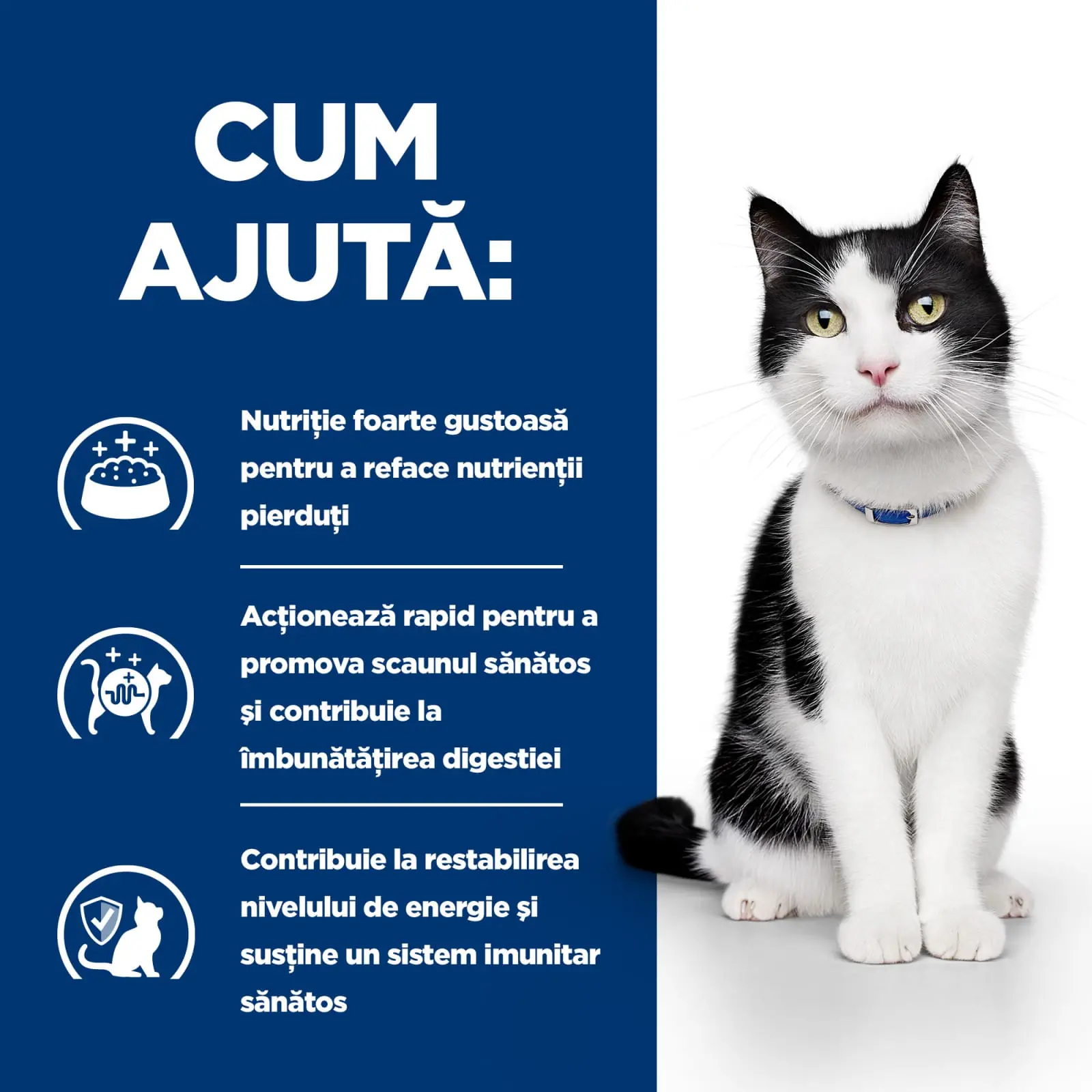 HILL'S Prescription Diet i/d Sensitive Digestive Care, Pui, dieta veterinara pisici, hrana uscata, sensibilitati digestive HILL'S Prescription Diet i/d Sensitive Digestive Care, Pui, dieta veterinara pisici, hrana uscata, sistem digestiv, 3kg - Image 6