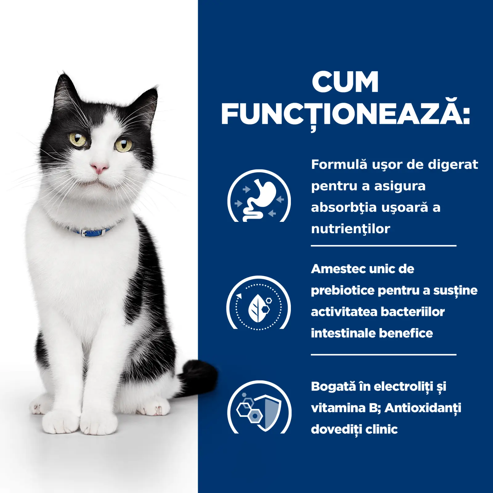 HILL'S Prescription Diet i/d Sensitive Digestive Care, Pui, dieta veterinara pisici, hrana uscata, sensibilitati digestive HILL'S Prescription Diet i/d Sensitive Digestive Care, Pui, dieta veterinara pisici, hrana uscata, sistem digestiv, 3kg - Image 8