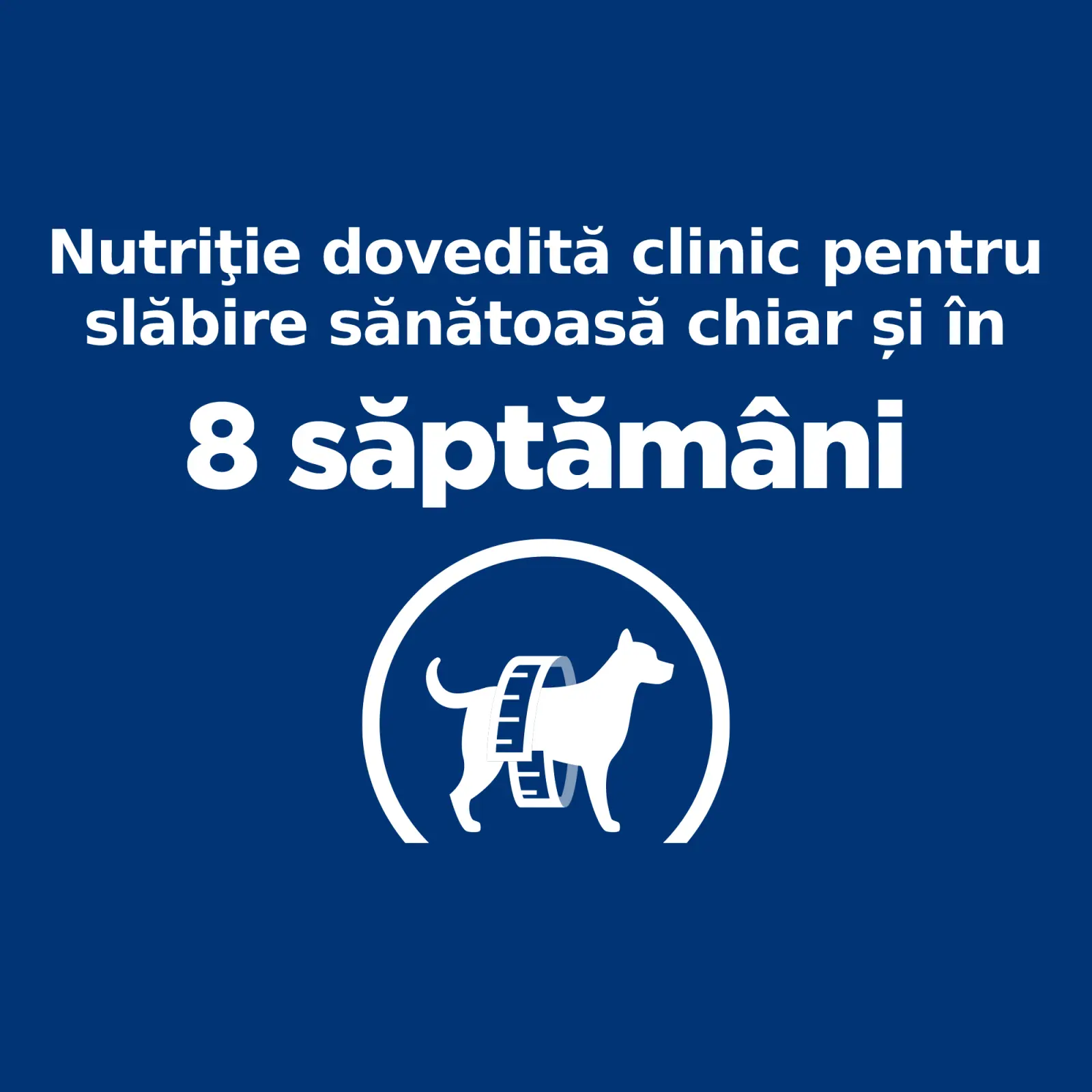 HILL'S Prescription Diet r/d Weight Loss, Pui, dieta veterinara caini, hrana uscata, scadere in greutate HILL'S Prescription Diet r/d Weight Loss, Pui, dieta veterinara caini, hrana uscata, metabolism (obezitate si diabet), 1.5kg - Image 4