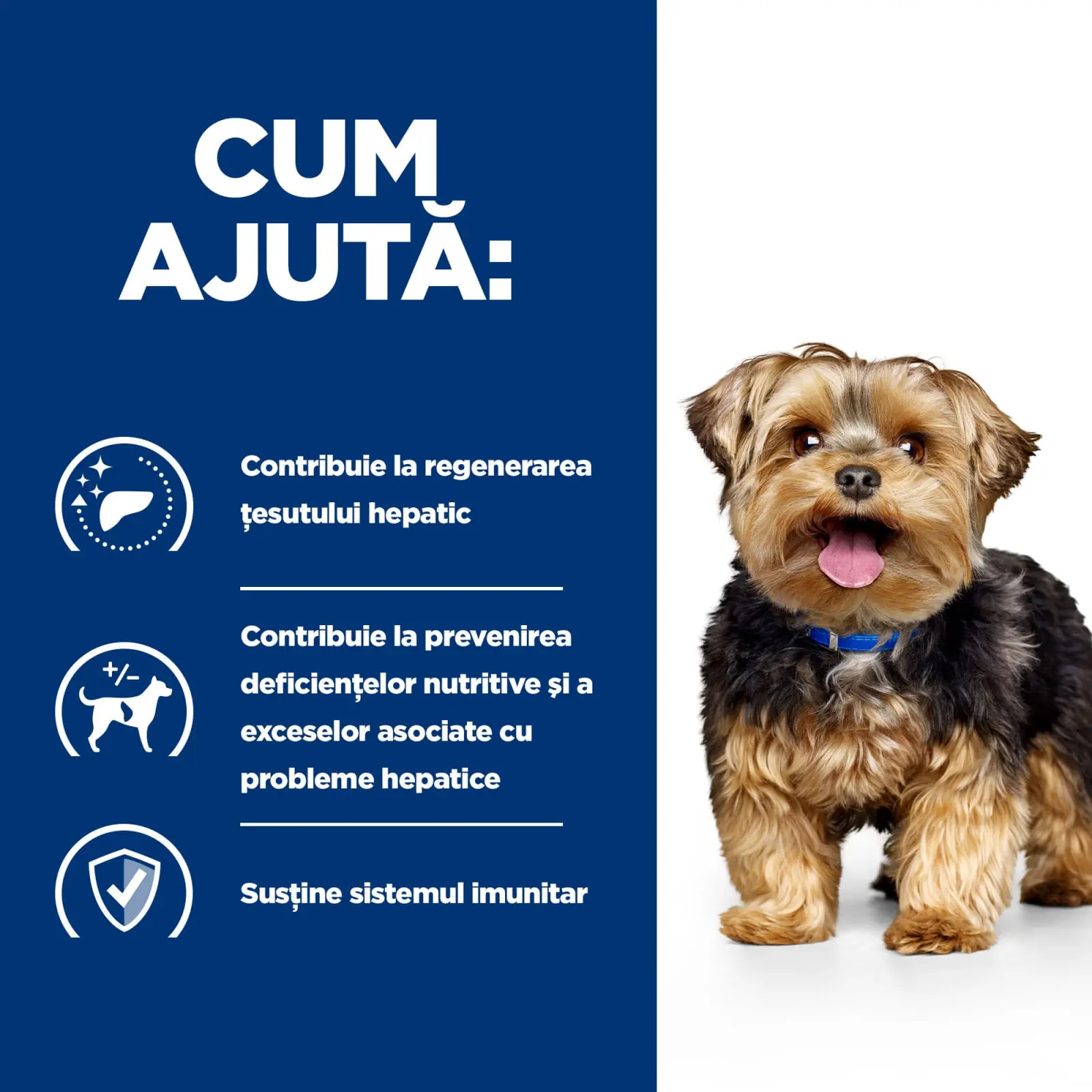 HILL'S Prescription Diet l/d, dieta veterinara caini, hrana uscata, afectiuni hepatice HILL'S Prescription Diet l/d Liver Care, dieta veterinara caini, hrana uscata, sistem hepatic, 10kg - Image 6