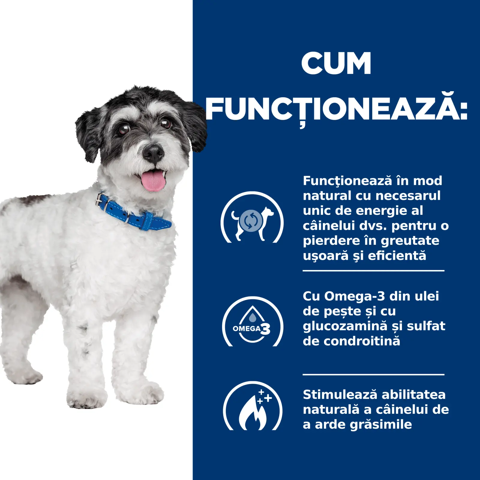 HILL'S Prescription Diet Metabolic + Weight Mini, dieta veterinara caini, hrana uscata, afectiuni metabolice (obezitate) HILL'S Prescription Diet Metabolic + Mobility Mini, dieta veterinara caini, hrana uscata, metabolism (obezitate si diabet), sistem ar - Image 9