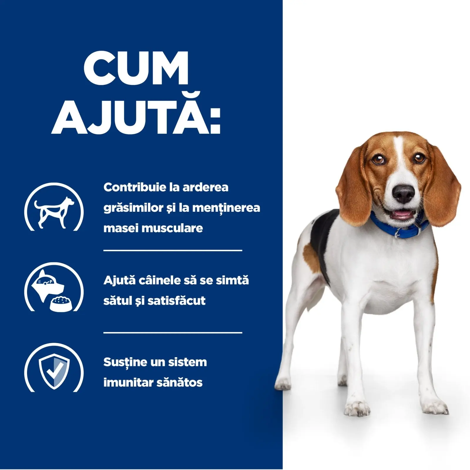 HILL'S Prescription Diet r/d Weight Loss, Pui, dieta veterinara caini, hrana uscata, scadere in greutate HILL'S Prescription Diet r/d Weight Loss, Pui, dieta veterinara caini, hrana uscata, metabolism (obezitate si diabet), 1.5kg - Image 7