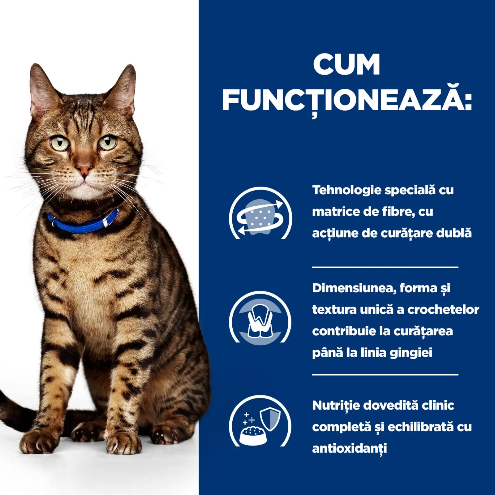 HILL'S Prescription Diet t/d Dental Care, Pui, dieta veterinara pisici, hrana uscata, afectiuni dentare HILL'S Prescription Diet t/d Dental Care, Pui, dieta veterinara pisici, hrana uscata, sensibilitati dentare, 3kg - Image 7