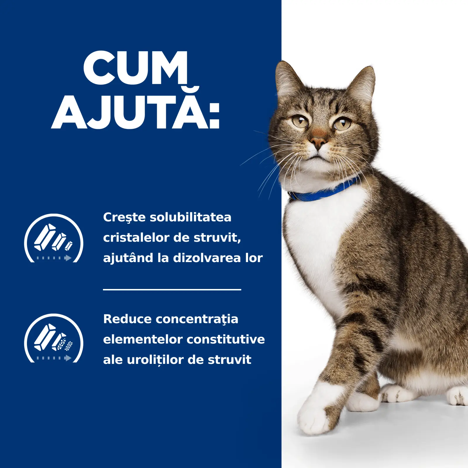 HILL'S Prescription Diet s/d Urinary Care, Pui, dieta veterinara pisici, hrana uscata, afectiuni urinare HILL'S Prescription Diet s/d Urinary Care, Pui, dieta veterinara pisici, hrana uscata, sistem urinar, 1.5kg - Image 9
