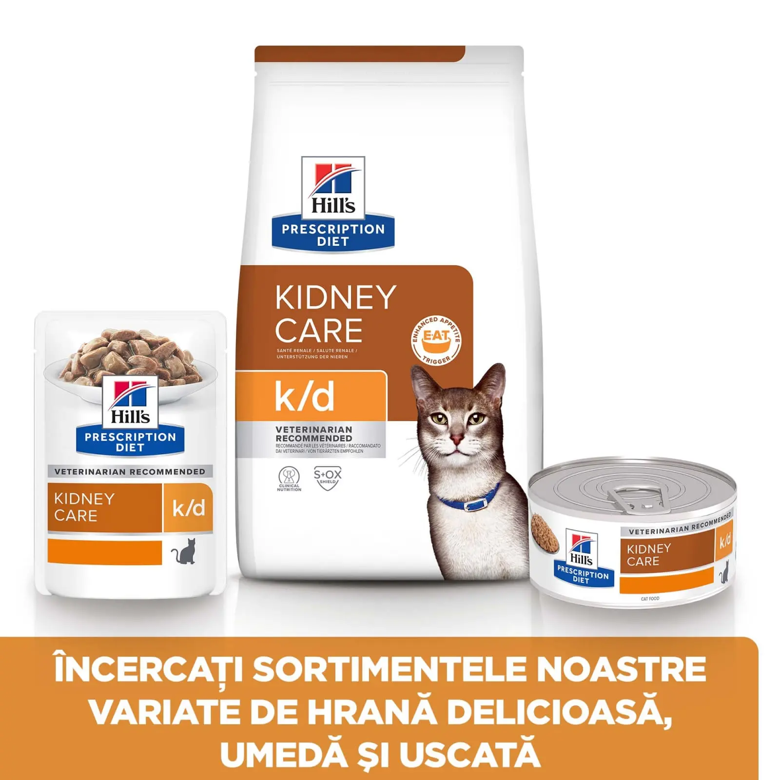 HILL'S Prescription Diet k/d Kidney Care, Pui, dieta veterinara pisici, hrana uscata, afectiuni renale HILL'S Prescription Diet k/d Kidney Care, Pui, dieta veterinara pisici, hrana uscata, sistem renal, 1.5kg - Image 8