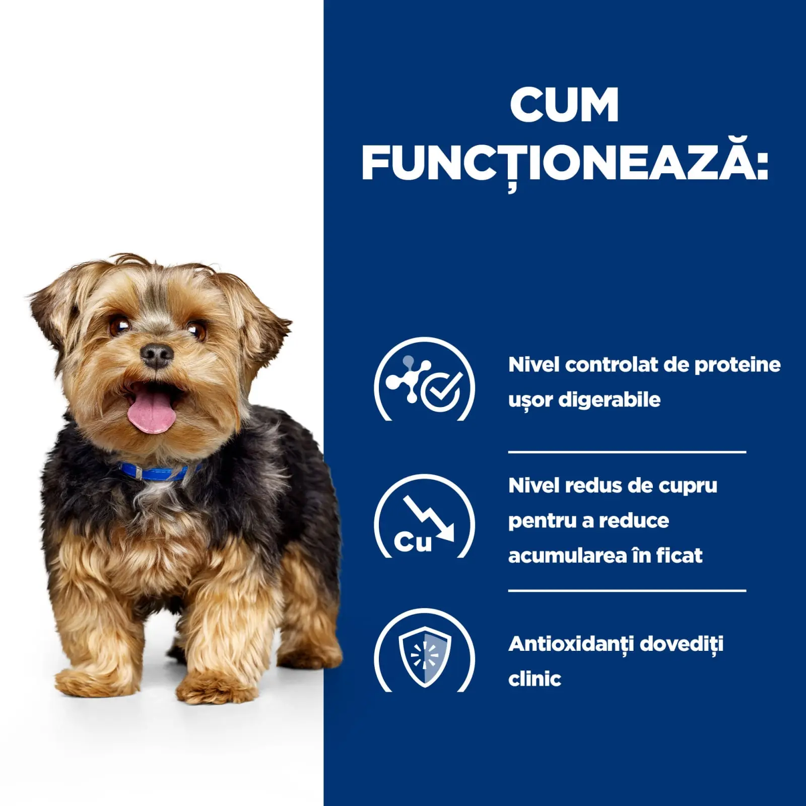 HILL'S Prescription Diet l/d, dieta veterinara caini, hrana uscata, afectiuni hepatice HILL'S Prescription Diet l/d Liver Care, dieta veterinara caini, hrana uscata, sistem hepatic, 10kg - Image 9