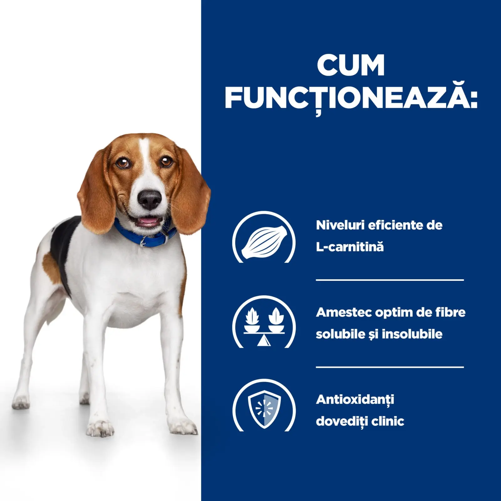 HILL'S Prescription Diet r/d Weight Loss, Pui, dieta veterinara caini, hrana uscata, scadere in greutate HILL'S Prescription Diet r/d Weight Loss, Pui, dieta veterinara caini, hrana uscata, metabolism (obezitate si diabet), 1.5kg - Image 9
