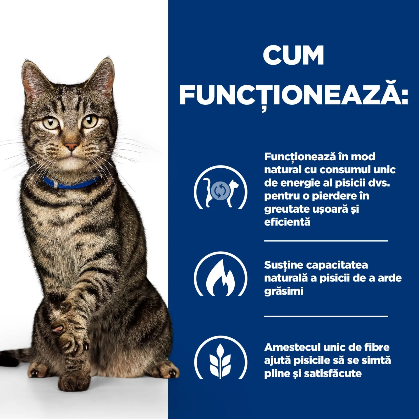 HILL'S Prescription Diet Metabolic, Pui, dieta veterinara pisici, hrana uscata, afectiuni metabolice (obezitate) HILL'S Prescription Diet Metabolic, Pui, dieta veterinara pisici, hrana uscata, metabolism (obezitate si diabet), 3kg - Image 8