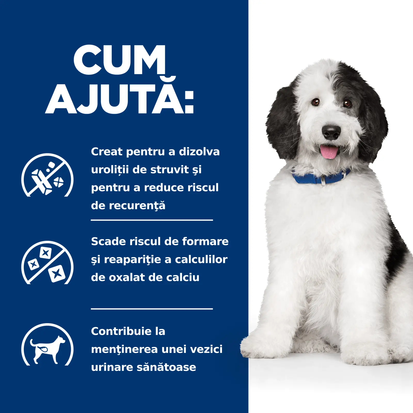 HILL'S Prescription Diet c/d Urinary + Weight Care, Pui, dieta veterinara caini, hrana uscata, afectiuni urinare si controlul greutatii HILL'S Prescription Diet c/d Urinary Care, Pui, dieta veterinara caini, hrana uscata, sistem urinar, 1.5kg - Image 3