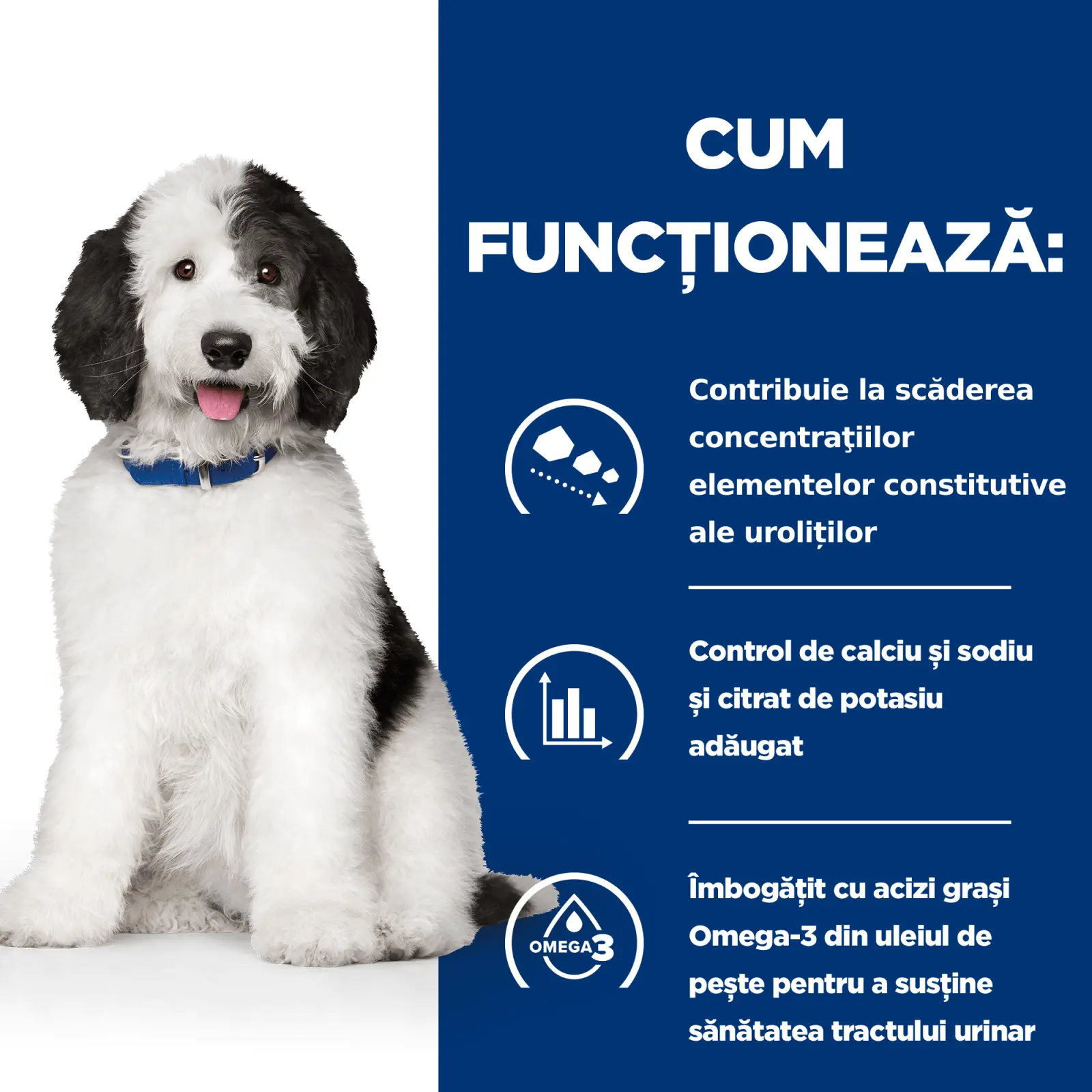 HILL'S Prescription Diet c/d Urinary + Weight Care, Pui, dieta veterinara caini, hrana uscata, afectiuni urinare si controlul greutatii HILL'S Prescription Diet c/d Urinary Care, Pui, dieta veterinara caini, hrana uscata, sistem urinar, 1.5kg - Image 5