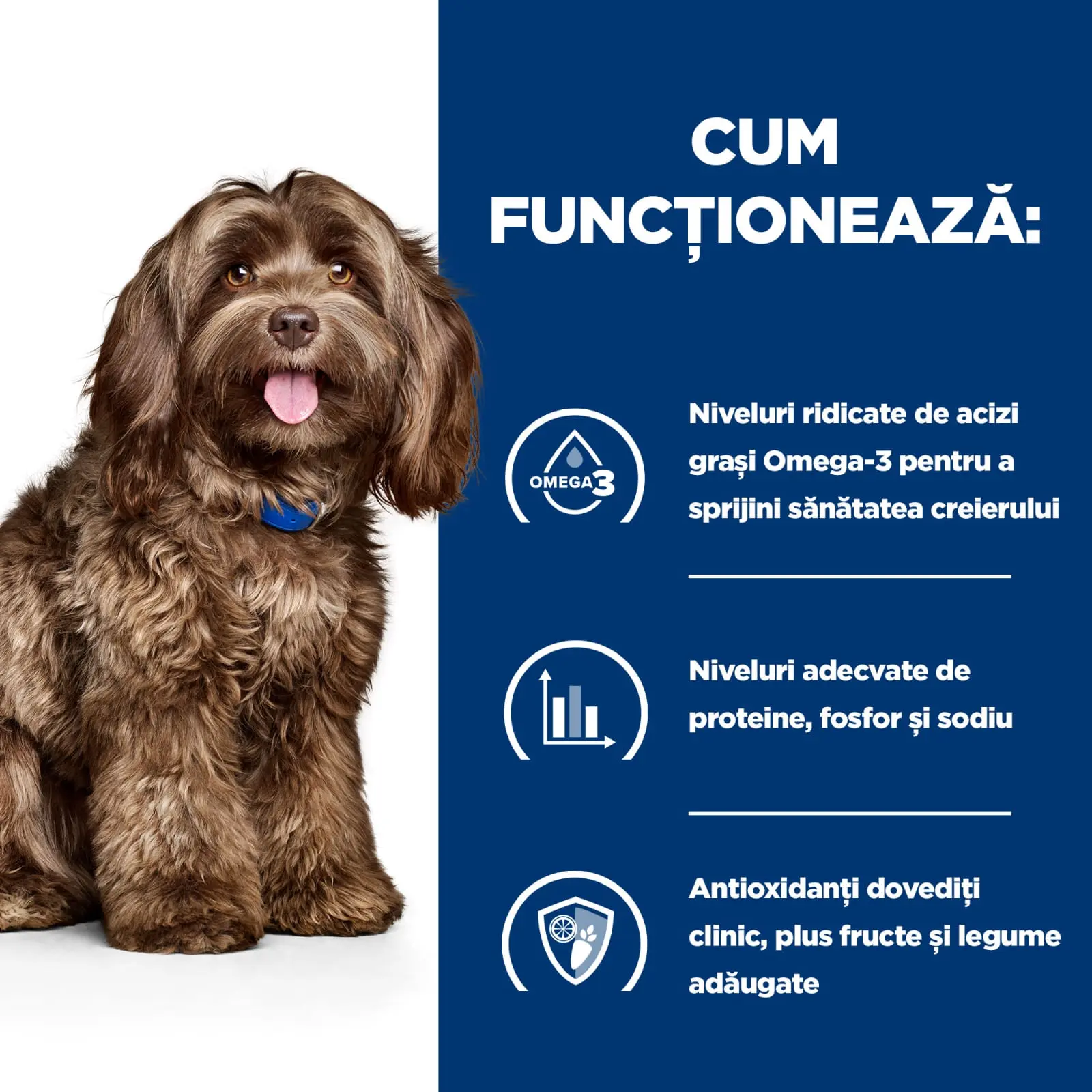 HILL'S Prescription Diet b/d Ageing and Alertness Care, Pui, dieta veterinara caini senior, hrana uscata, sistem nervos & calmante, 3kg - Image 7