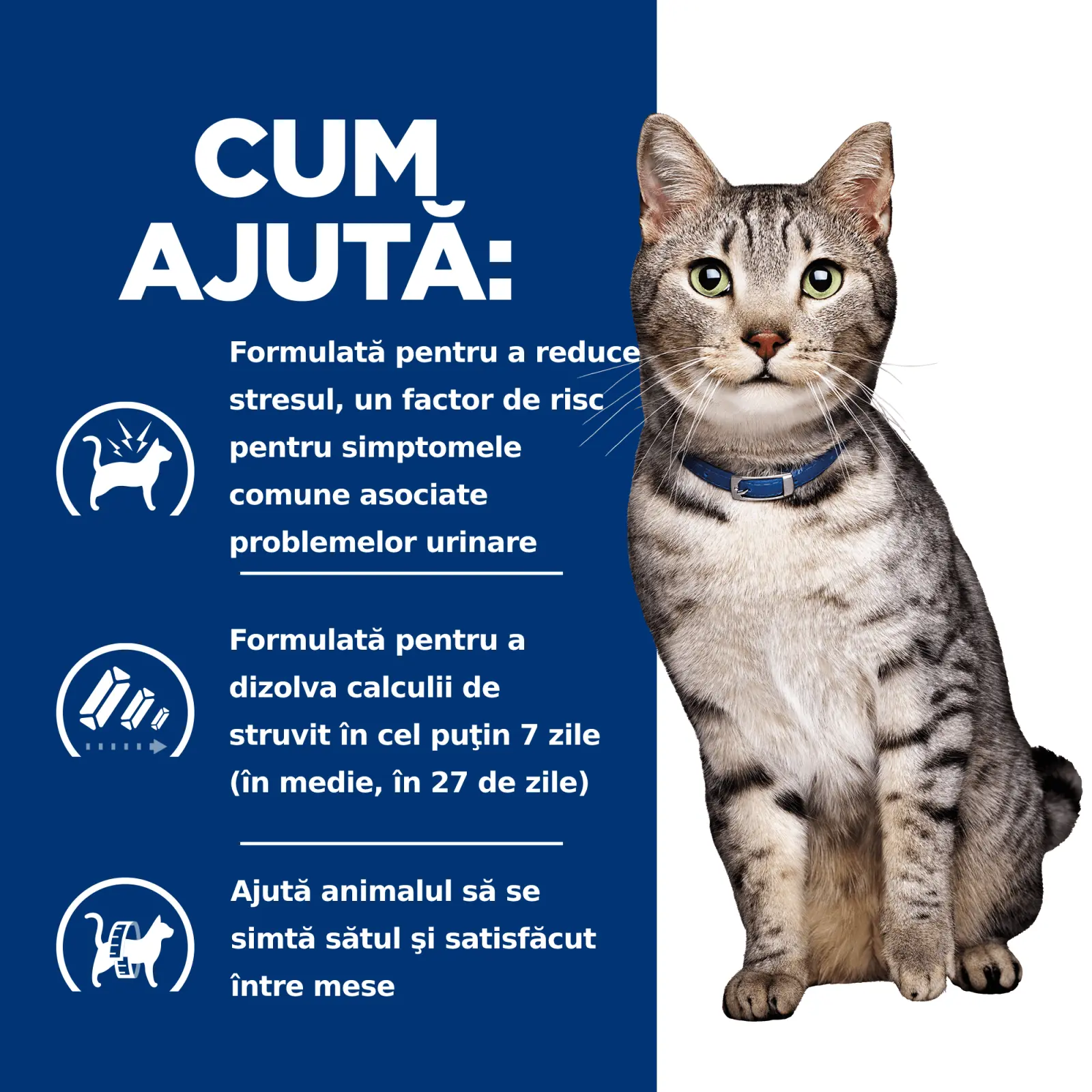 HILL'S Prescription Diet c/d Stress + Metabolic, Pui, dieta veterinara pisici, hrana uscata, sistem urinar,sistem nervos, metabolism, 3kg - Image 6