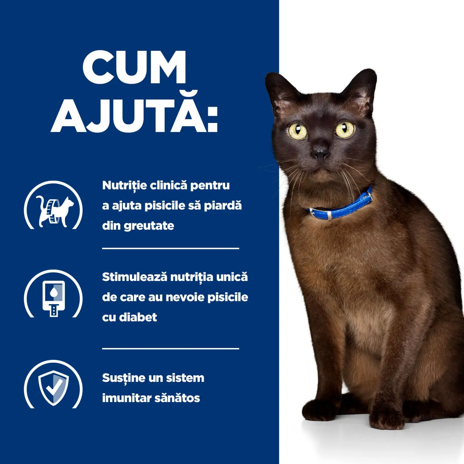HILL'S Prescription Diet m/d Diabetes Care, Pui, dieta veterinara pisici, hrana uscata, afectiuni metabolice (diabet) HILL'S Prescription Diet m/d Diabetes Care, Pui, dieta veterinara pisici, hrana uscata, metabolism (obezitate si diabet), 1.5kg - Image 5