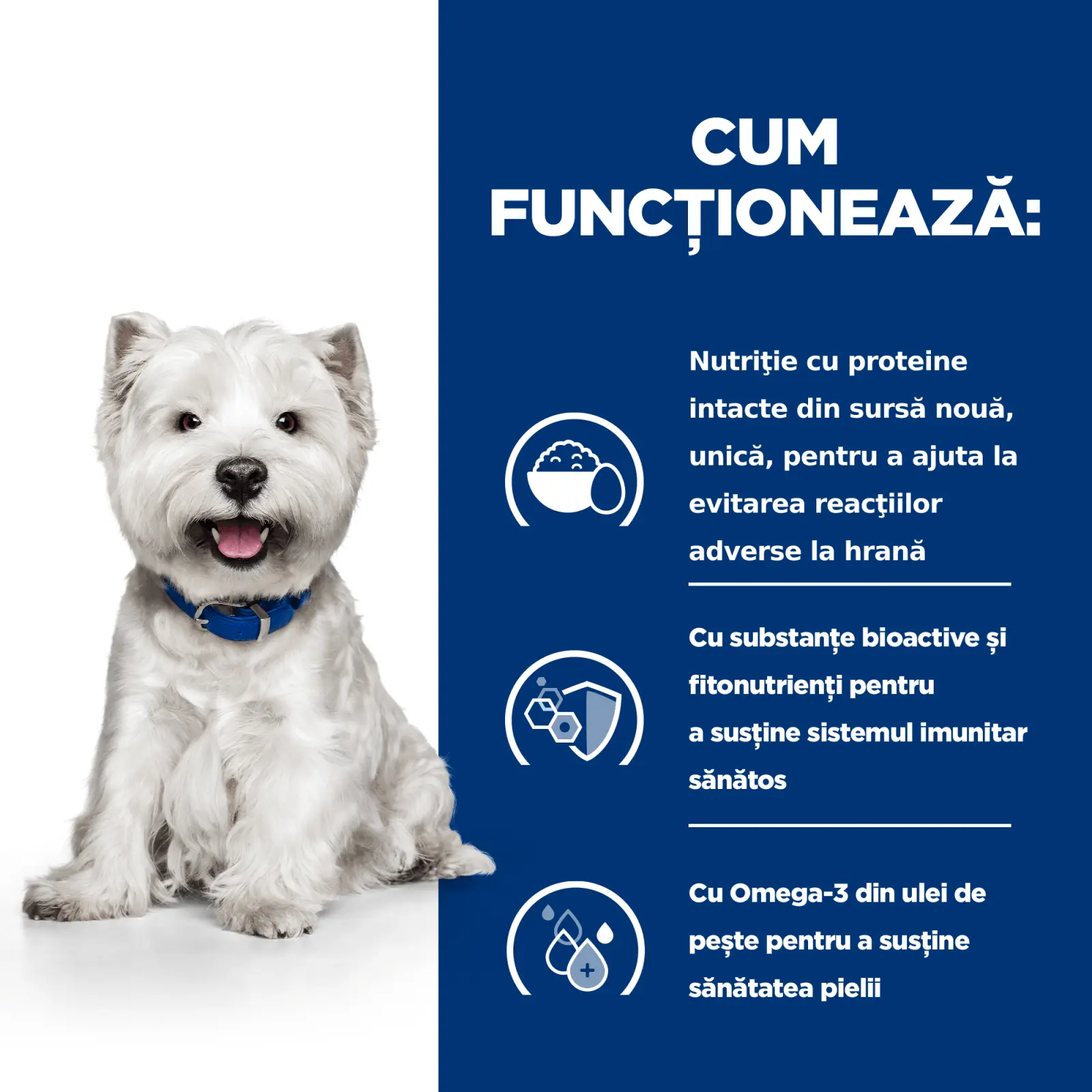 HILL'S Prescription Diet Derm Complete Mini, dieta veterinara caini, hrana uscata, afectiuni dermatologice HILL'S Prescription Diet Derm Complete Mini, dieta veterinara caini, hrana uscata, piele & blana, 6kg - Image 7