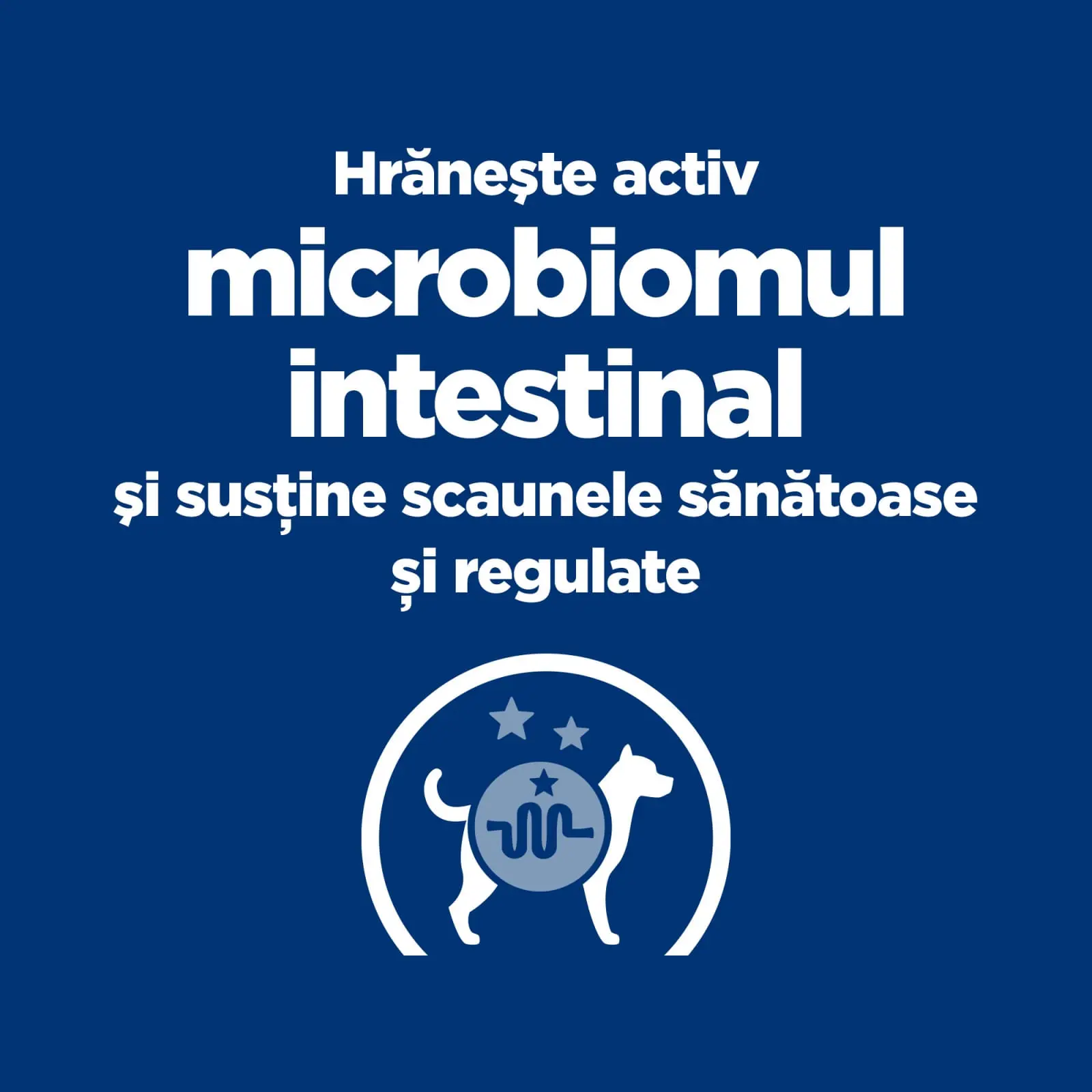 HILL'S Prescription Diet Gastrointestinal Biome Mini, Pui, dieta veterinara caini, hrana uscata, afectiuni digestive HILL'S Prescription Diet Gastrointestinal Biome Mini, Pui, dieta veterinara caini, hrana uscata, sistem digestiv, 3kg - Image 2