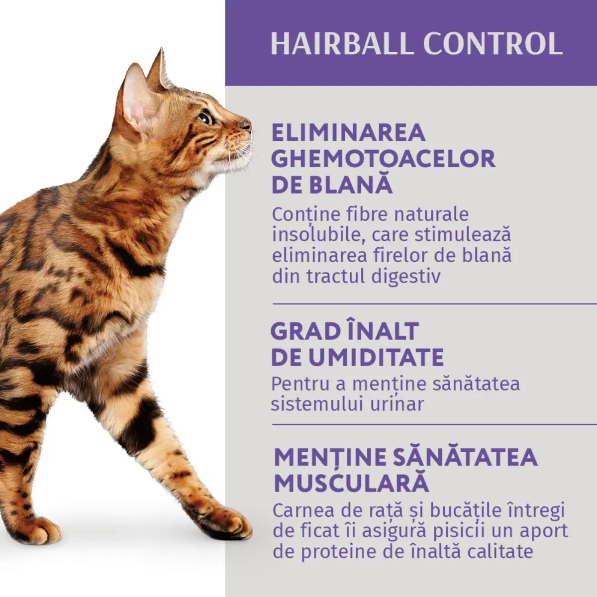 OPTIMEAL Hairball Control, Rata si Ficat, hrana umeda pisici, limitarea ghemurilor de blana, (in aspic) OPTIMEAL Hairball Control, Rata si Ficat, plic hrana umeda pisici, limitarea ghemurilor de blana, (in aspic), 85g - Image 2