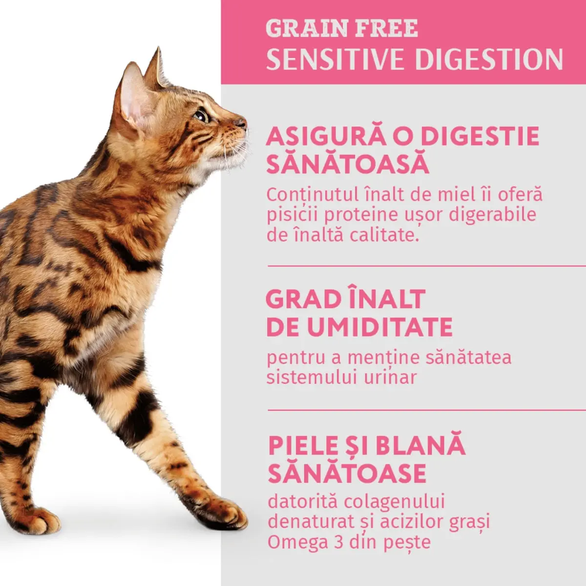 OPTIMEAL Sensitive, Miel si Curcan, hrana umeda pisici, sensibilitati digestive, (in sos) OPTIMEAL Sensitive, Miel si Curcan, hrana umeda fara cereale pisici, sistem digestiv, (in sos), 85g - Image 3