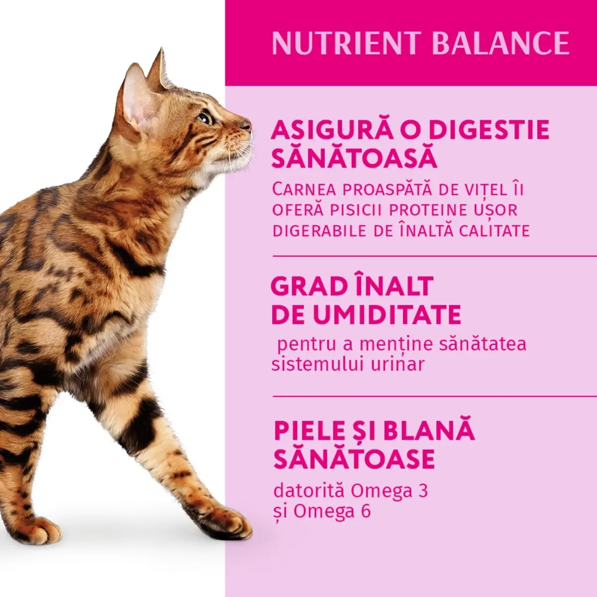 OPTIMEAL, Miel cu Legume, hrana umeda pisici, (in aspic) OPTIMEAL, Miel si Legume, plic hrana umeda pisici, (in aspic), bax, 85g x 12buc - Image 3