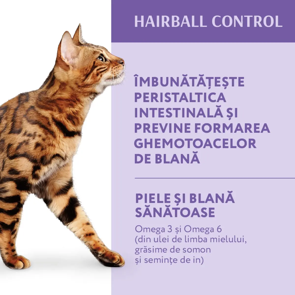 OPTIMEAL Hairball Control, Rata, hrana uscata pisici, limitarea ghemurilor de blana, 10kg - Image 2