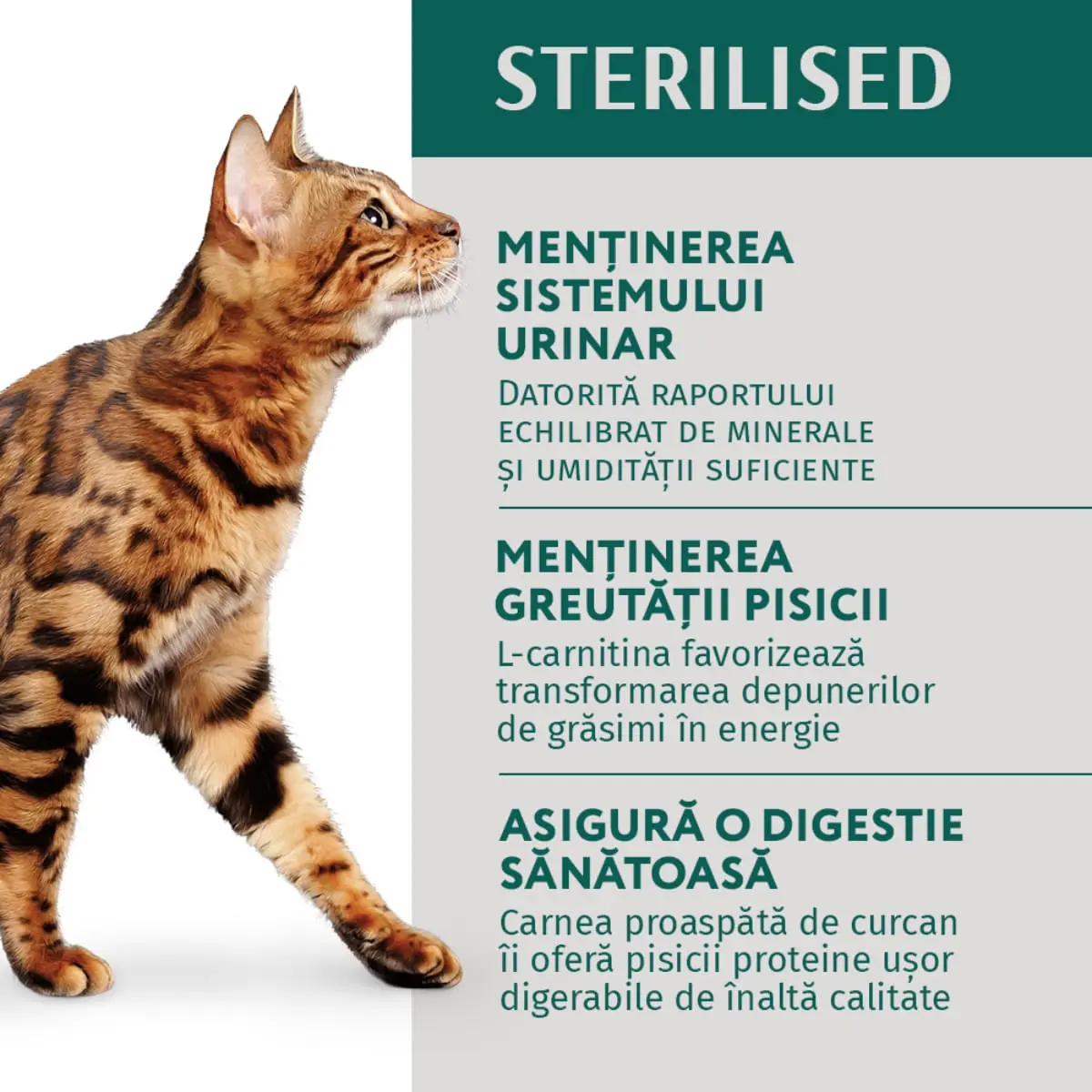 OPTIMEAL Sterilised, Pui si Curcan, hrana umeda pisici sterilizate, (in sos) OPTIMEAL Sterilised, Pui si Curcan, plic hrana umeda pisici sterilizate, (in sos), 85g - Image 6